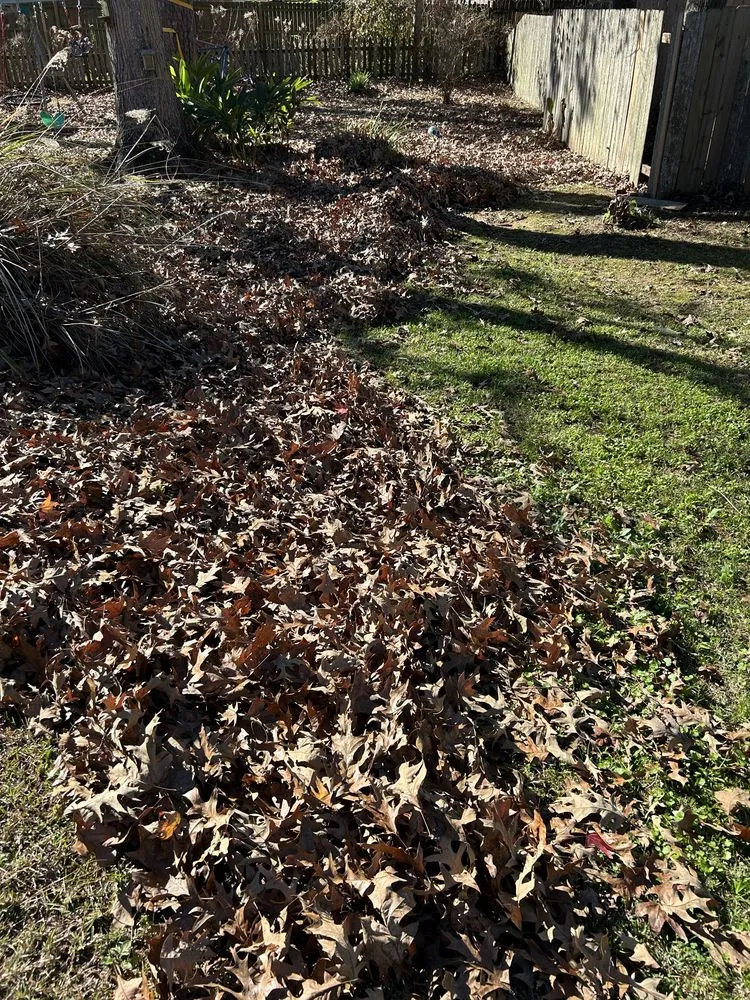 Professional landscaping services experts serving Madisonville, LA - Top Green Maintenance