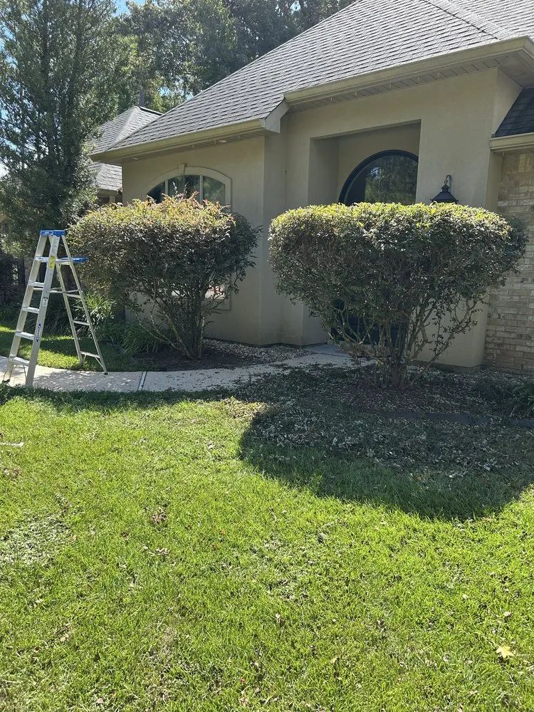 Professional yard maintenance in Madisonville, LA by Top Green Maintenance