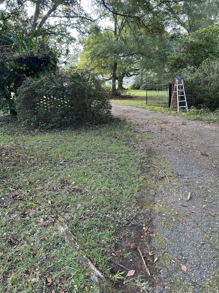 Professional lawn care service in Madisonville, LA - Top Green Maintenance