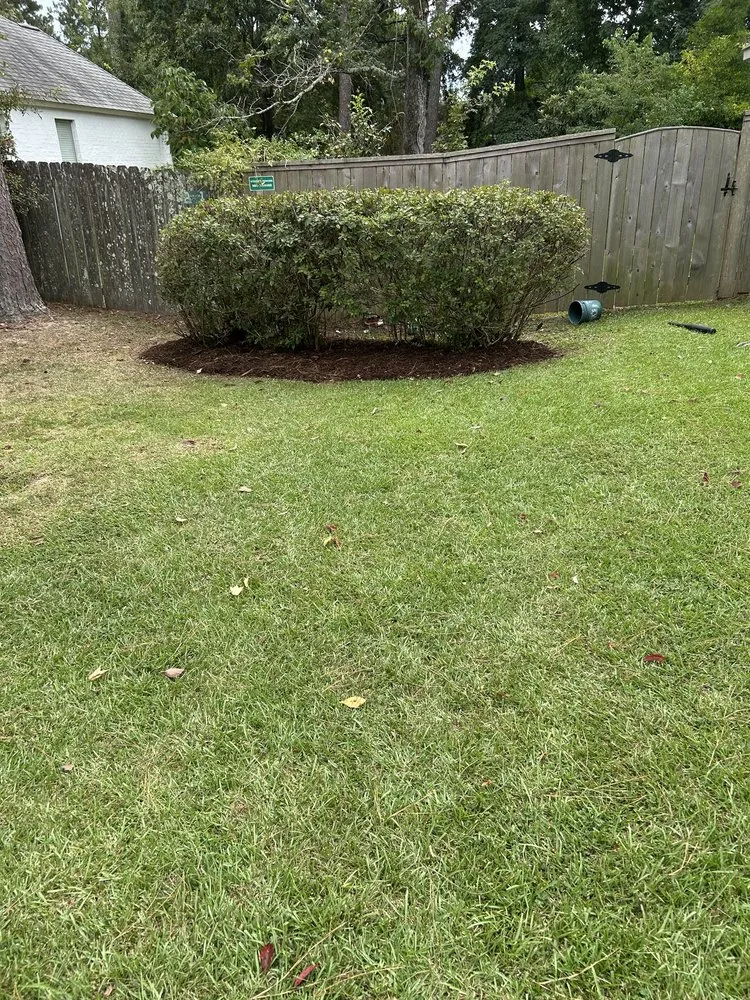 Local residential landscaping for residential properties across Madisonville, LA - Top Green Maintenance