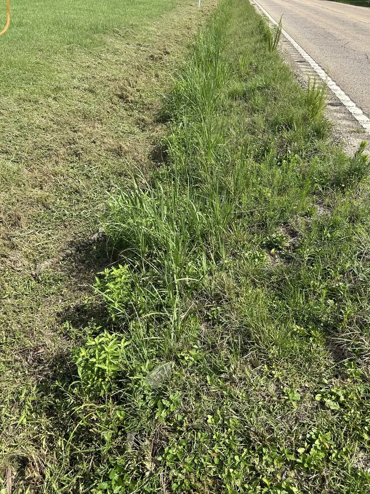 Expert landscaping services with custom design in Madisonville, LA by Top Green Maintenance