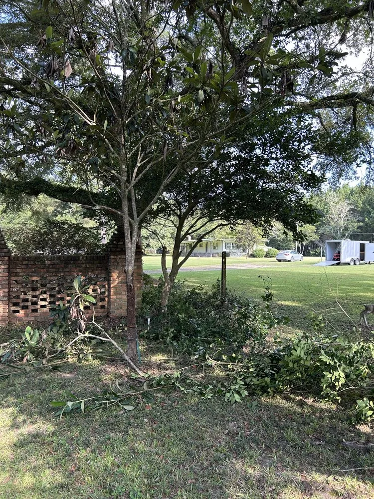 Reliable garden landscaping in Madisonville, LA - Top Green Maintenance