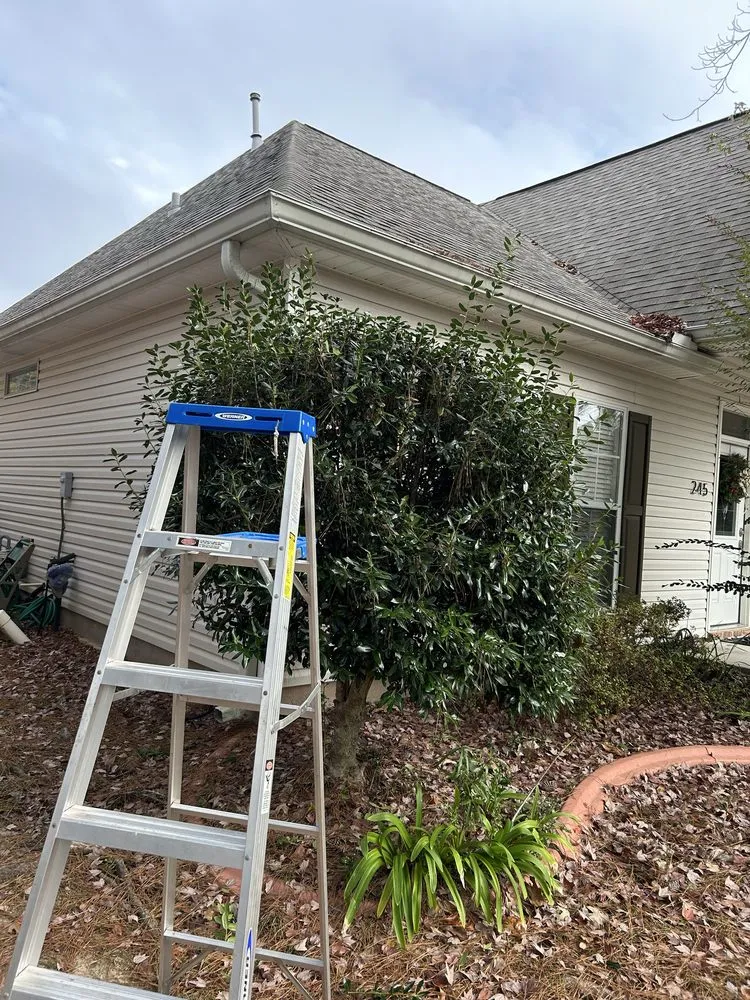 Professional yard cleanup service for residential properties across Madisonville, LA - Top Green Maintenance