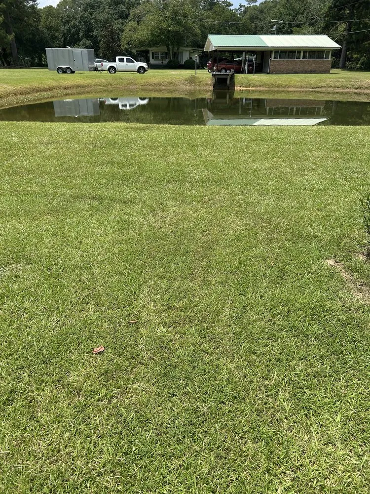 Affordable landscape design in Madisonville, LA - Top Green Maintenance