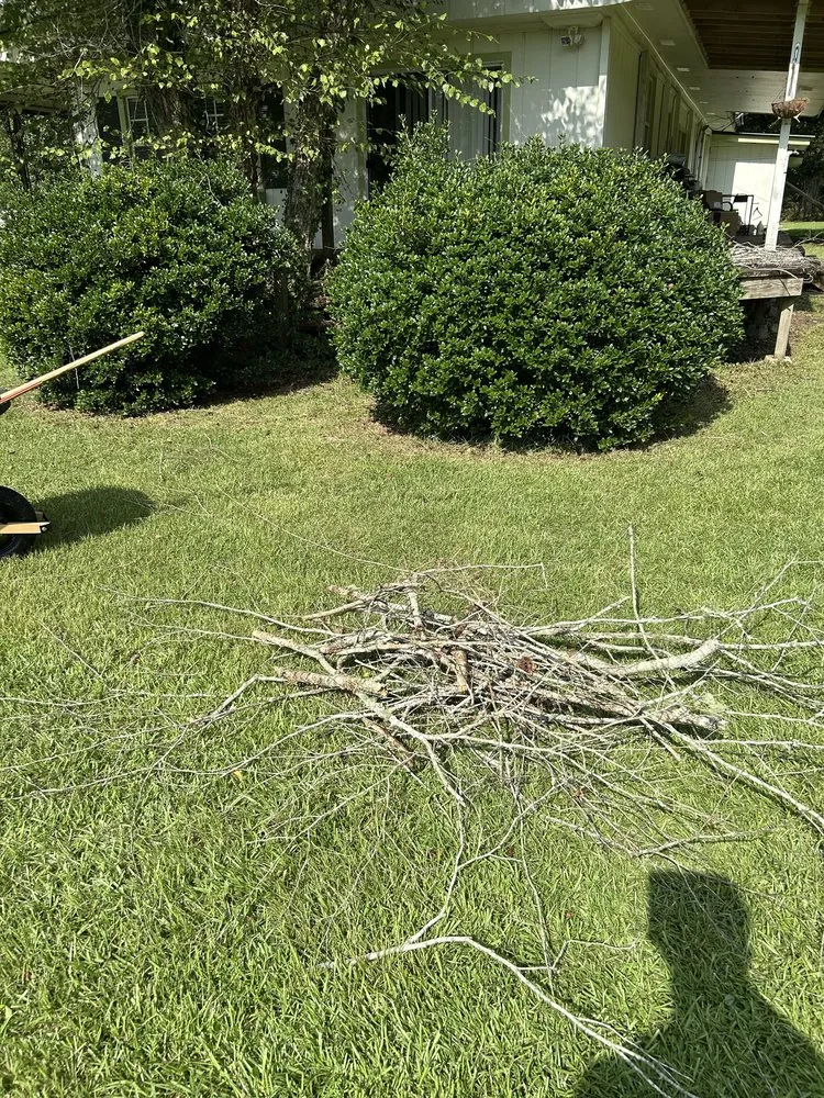 Expert lawn care service experts serving Madisonville, LA - Top Green Maintenance