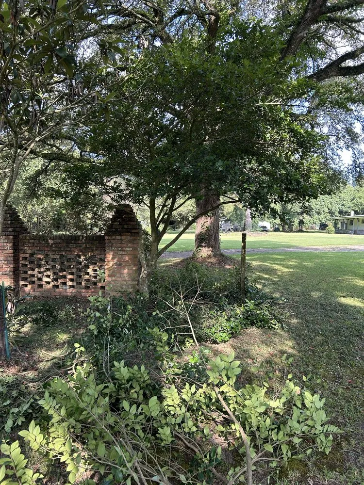 Professional yard maintenance for homes in Madisonville, LA by Top Green Maintenance
