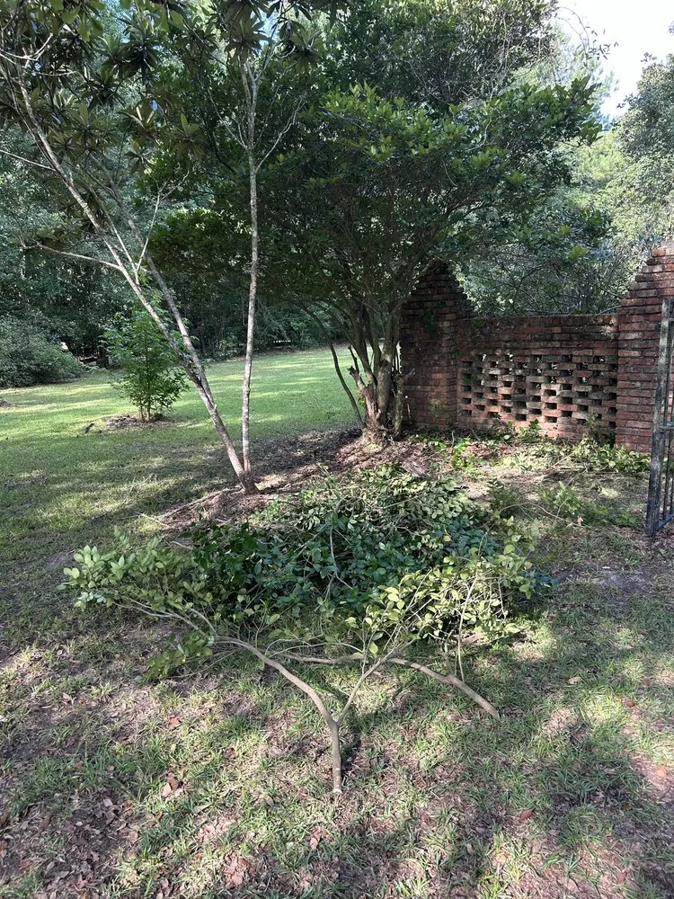 Top-rated residential landscaping for residential properties across Madisonville, LA - Top Green Maintenance