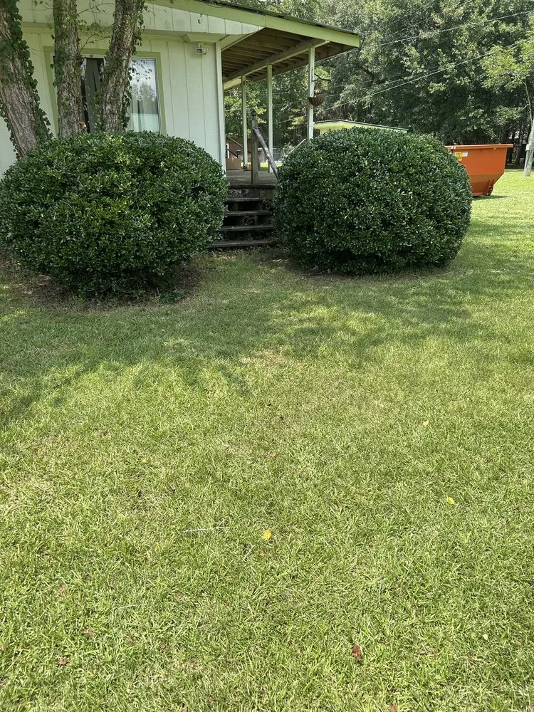 Reliable lawn mowing service in Madisonville, LA by Top Green Maintenance