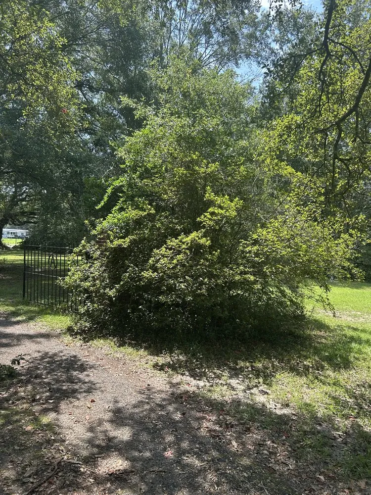Custom garden landscaping for year-round maintenance across Madisonville, LA - Top Green Maintenance