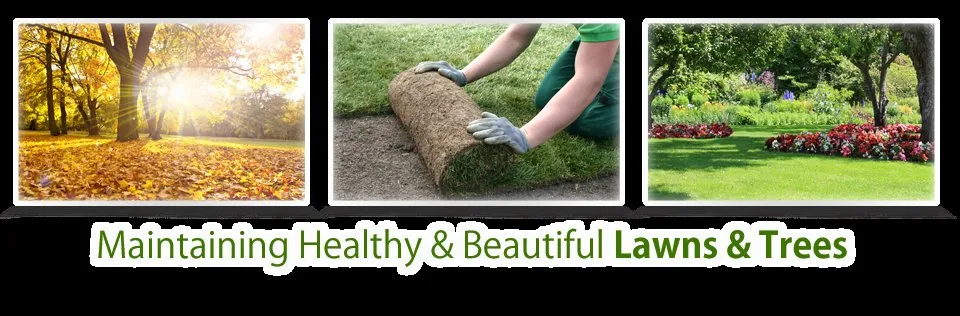 Top-rated residential landscaping for residential properties across Scarsdale, NY - Top Green Organics