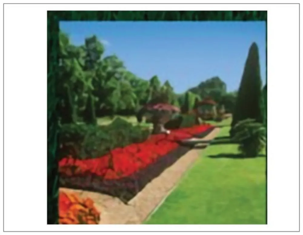 Affordable lawn care service experts serving Margate, FL - Top Gun Sprinkler and Lawn Maintenance