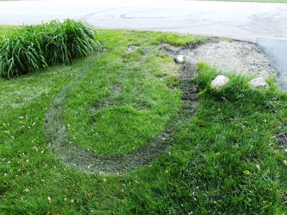 Reliable yard maintenance in Chicago Heights, IL - Top Gunn Landscape,