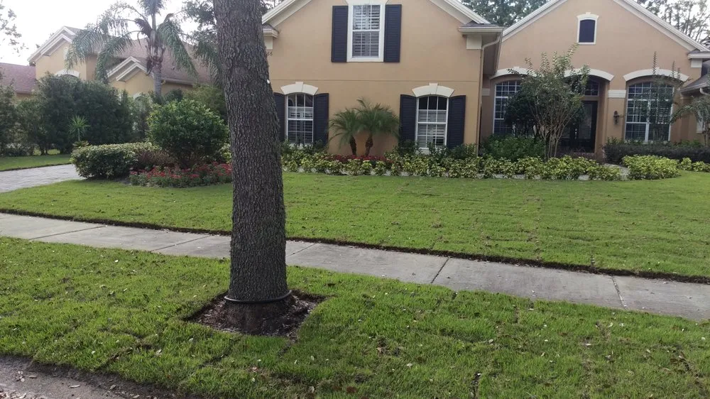 Trusted residential landscaping experts serving Windermere, FL - Top Gunn Lawn Care