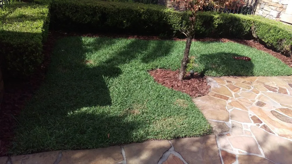 Custom lawn mowing service for beautiful yards across Windermere, FL - Top Gunn Lawn Care