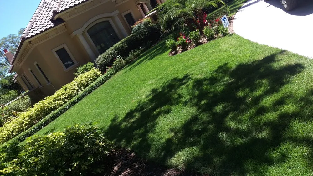 Top-rated lawn care service for year-round maintenance in Windermere, FL by Top Gunn Lawn Care