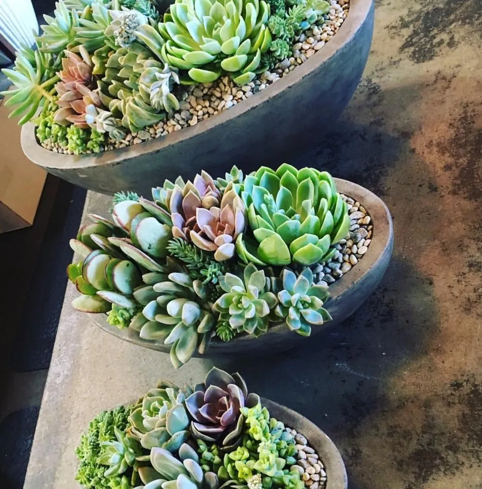 Professional garden landscaping in Windermere, FL - Top Gunn Lawn Care