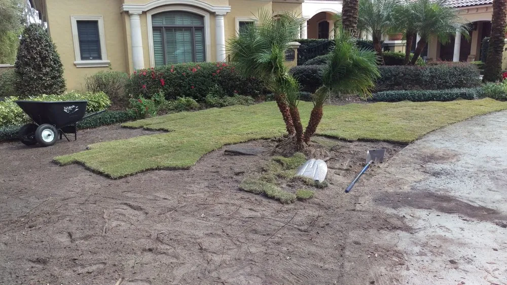 Reliable lawn mowing service in Windermere, FL by Top Gunn Lawn Care