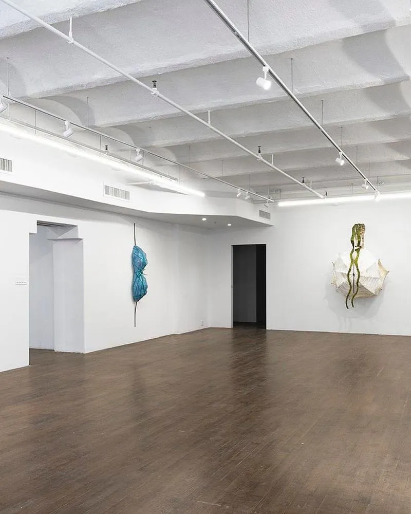 Local yard maintenance in Brooklyn, NY - Top Hat Construction