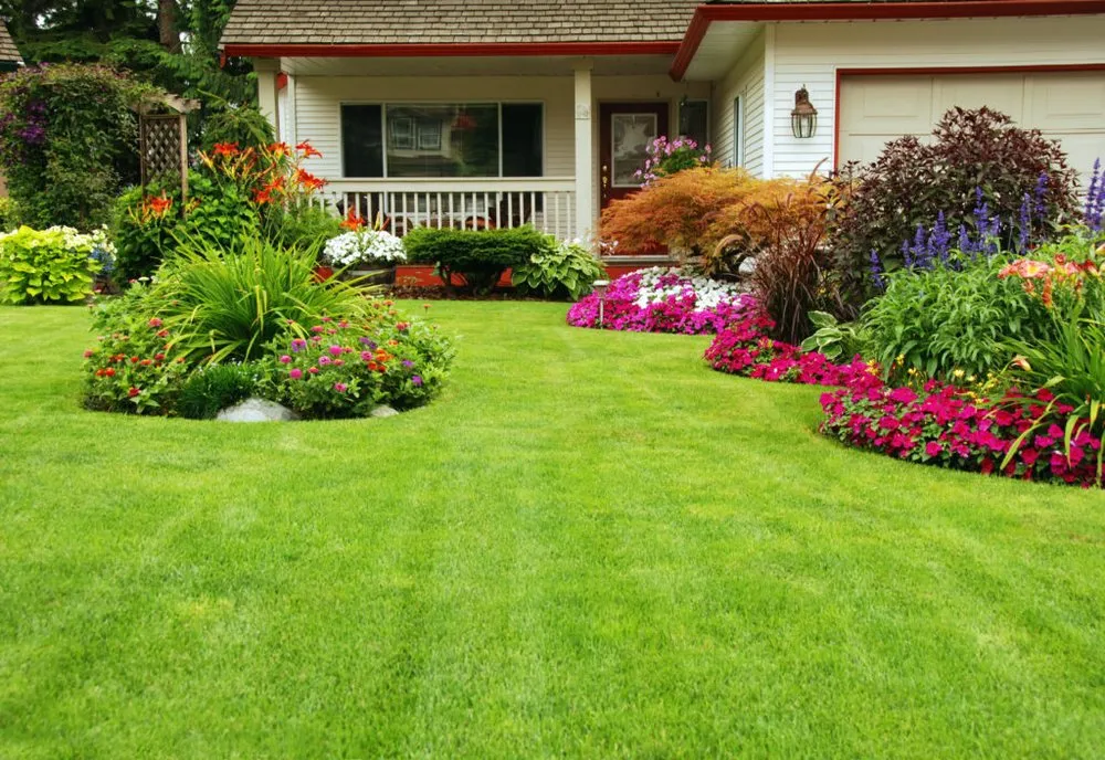 Trusted yard maintenance in Memphis, TN - Top Hill Landscaping