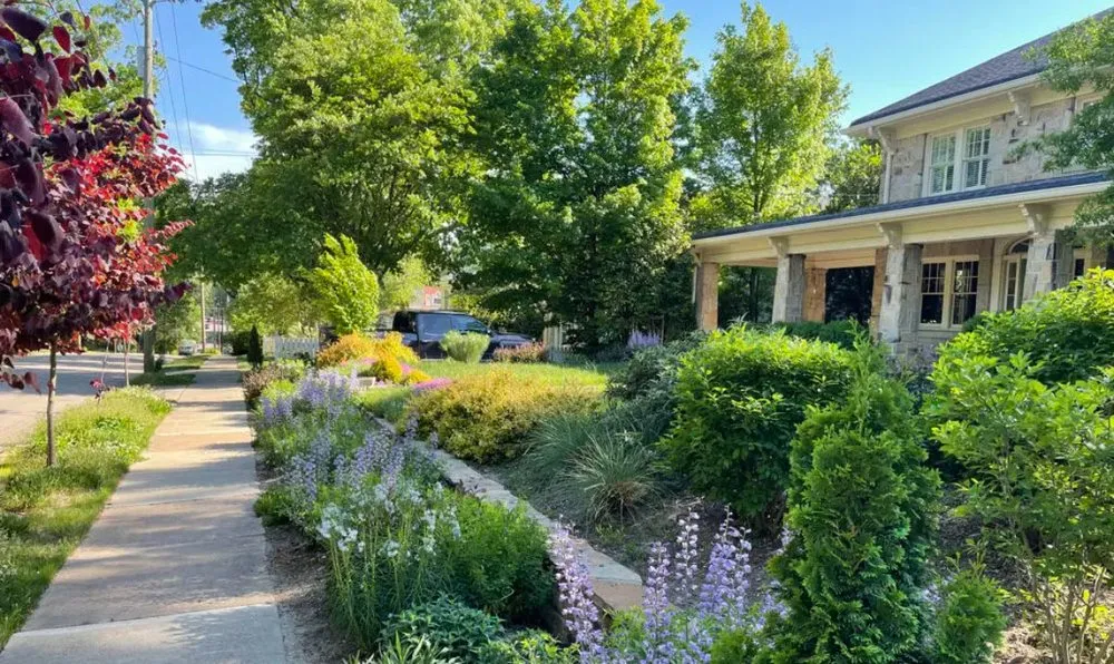 Local yard cleanup service in Gastonia, NC by Top Home & Landscape