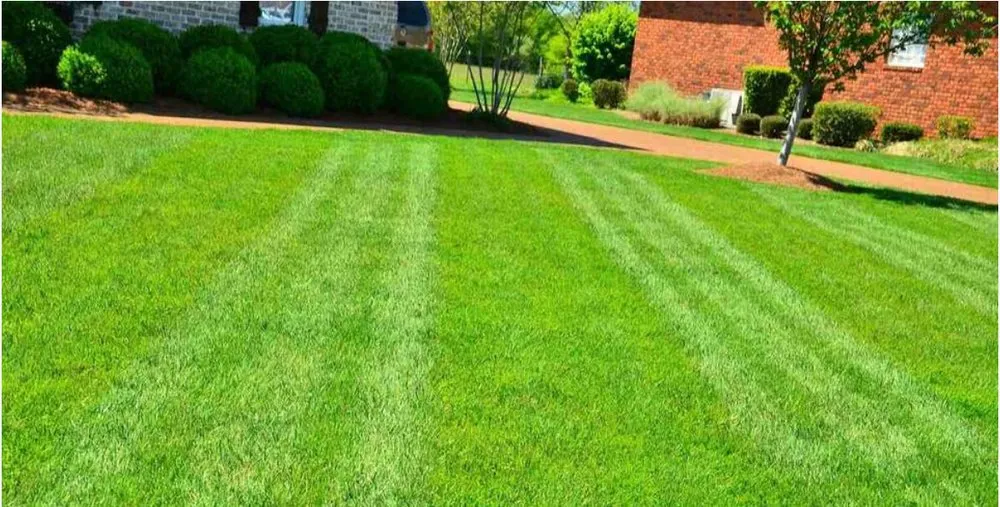 Top-rated garden landscaping in Gastonia, NC - Top Home & Landscape