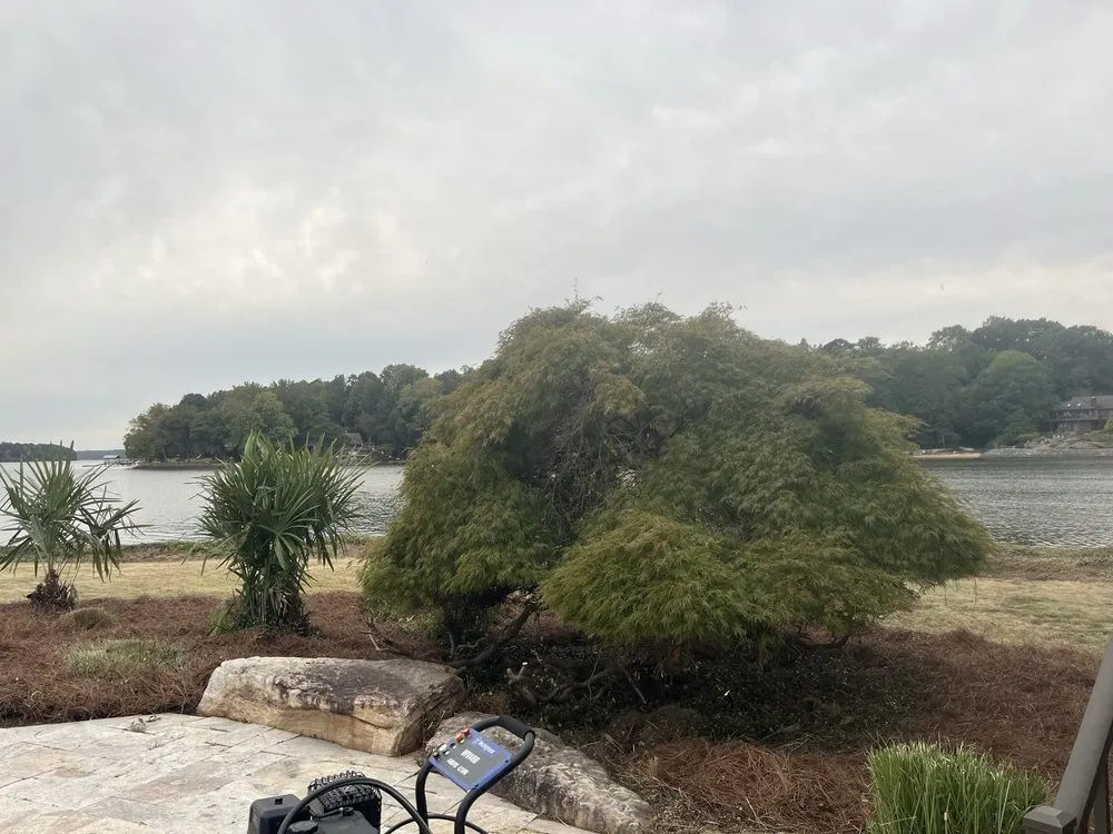 Professional residential landscaping experts serving Gastonia, NC - Top Home & Landscape