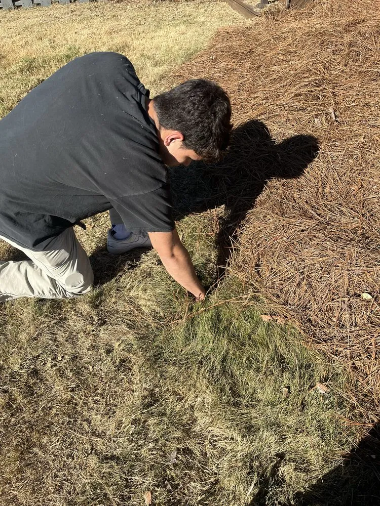 Expert landscape design for outdoor upgrades in Gastonia, NC by Top Home & Landscape