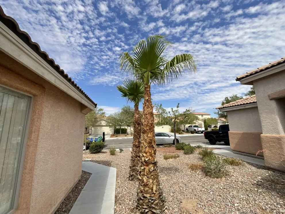 Professional landscaping services in Henderson, NV by Top It Off Landscaping