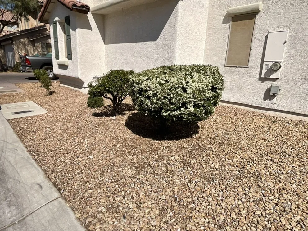 Professional lawn care service with custom design across Henderson, NV - Top It Off Landscaping