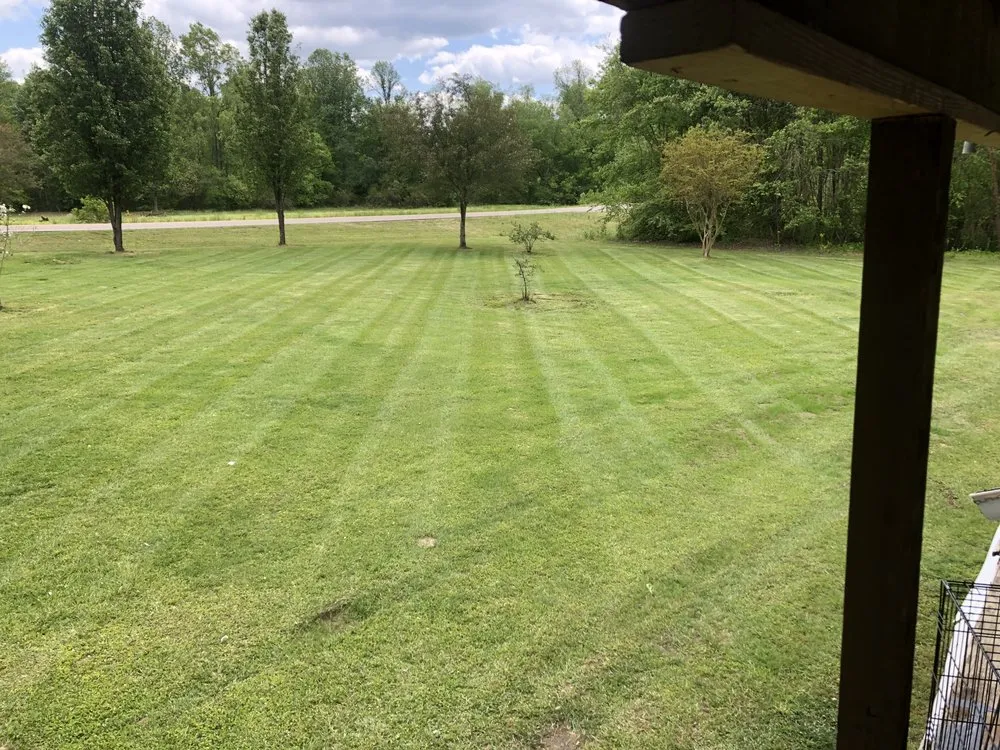 Top-rated outdoor landscaping for beautiful yards across Stantonville, TN - Top it off Lanscaping