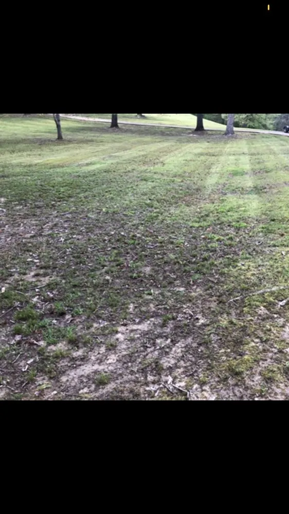 Reliable landscape design for beautiful yards across Stantonville, TN - Top it off Lanscaping