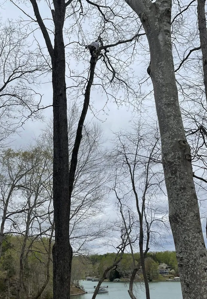 Reliable outdoor landscaping in Anderson, SC - Top It or Drop It Tree Service