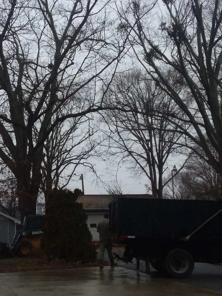 Local lawn care service for beautiful yards in Anderson, SC by Top It or Drop It Tree Service