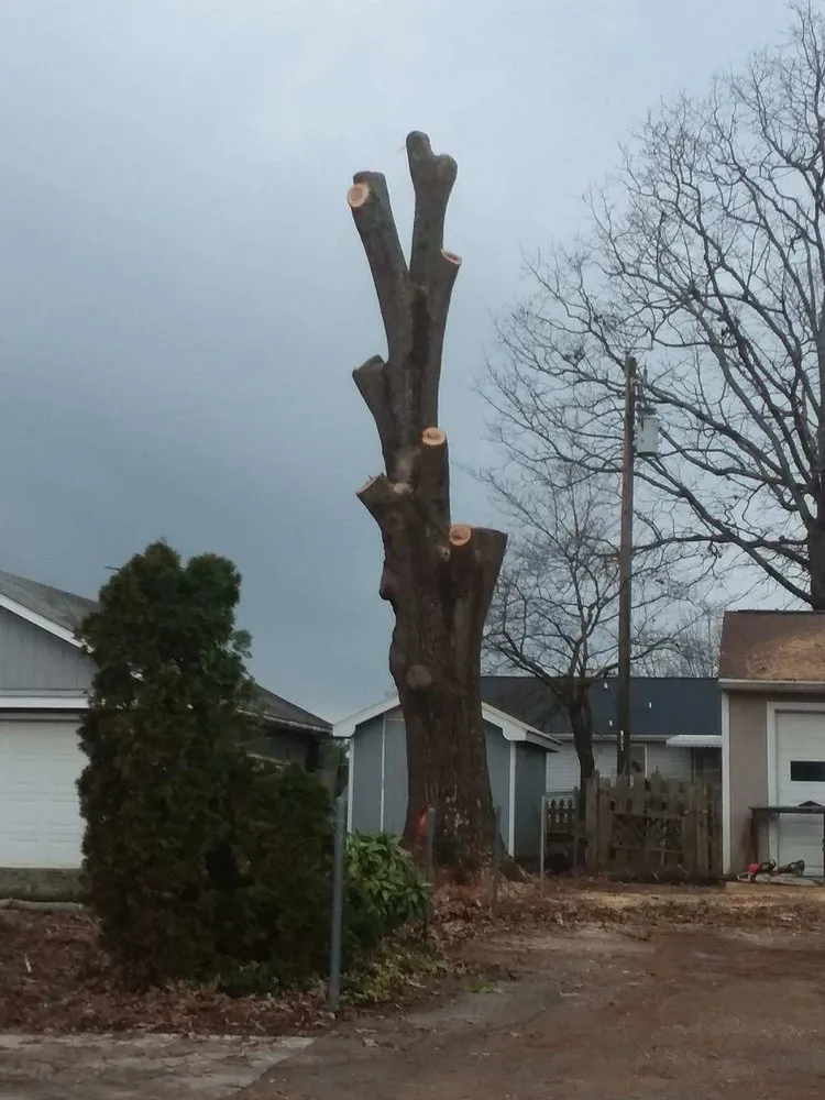 Top-rated lawn mowing service experts serving Anderson, SC - Top It or Drop It Tree Service