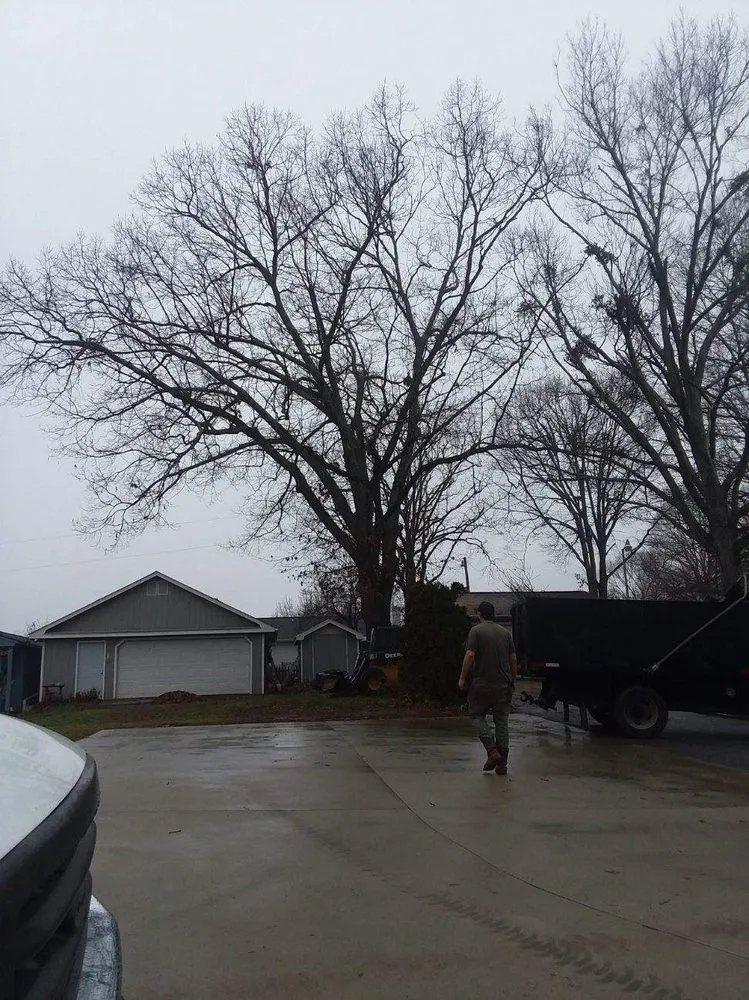 Local outdoor landscaping experts serving Anderson, SC - Top It or Drop It Tree Service