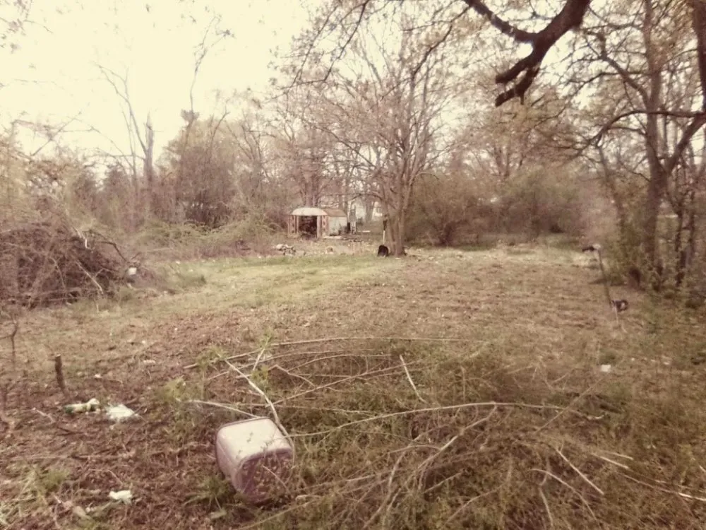 Custom lawn mowing service in Mount Pleasant, MI - Top Knoch Landscaping Services