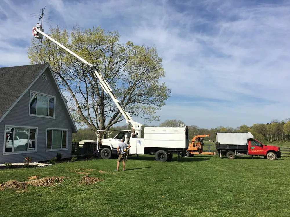 Local landscaping services in Frankfort, KY - Top Knotch Tree Service