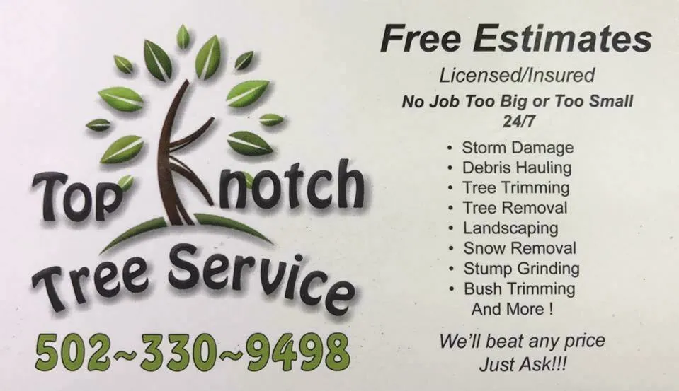 Professional yard cleanup service in Frankfort, KY - Top Knotch Tree Service