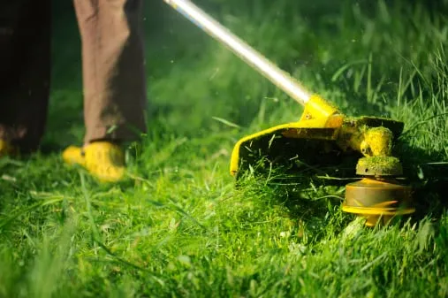 Affordable lawn care service experts serving Greece, NY - Top Lawn Care & Landscapes