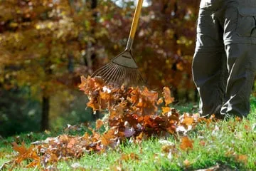 Trusted yard maintenance experts serving Greece, NY - Top Lawn Care & Landscapes