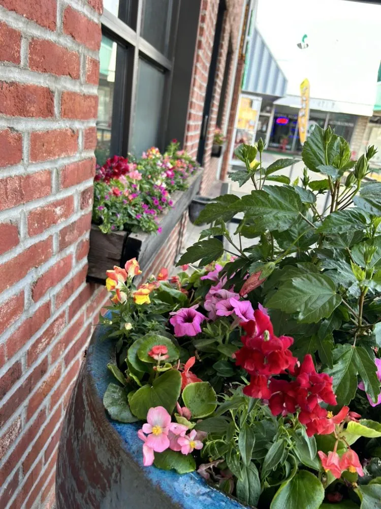 Affordable garden landscaping for year-round maintenance in Tishomingo, OK by Top Lawn Care and Landscape