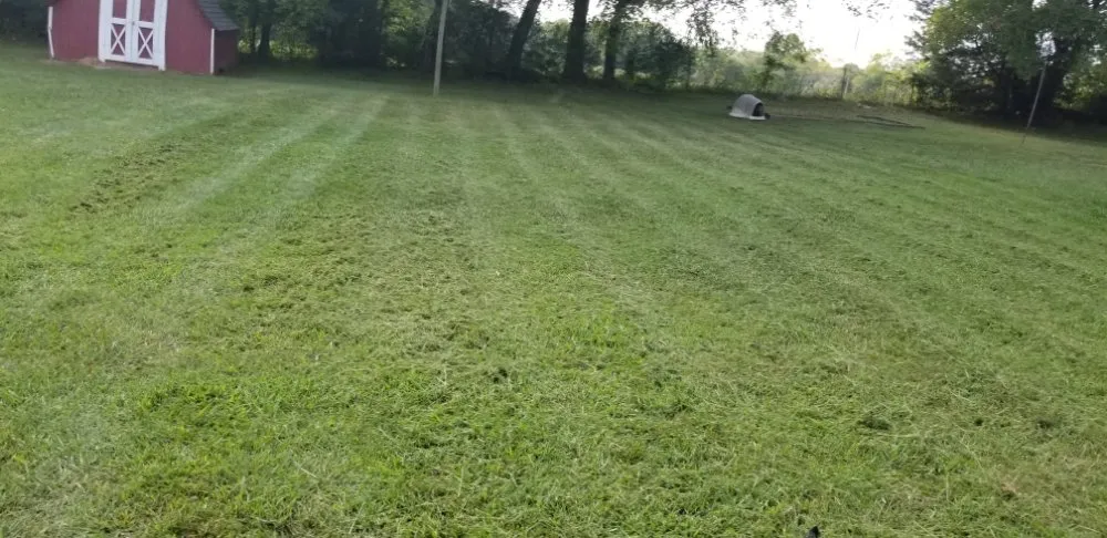 Affordable outdoor landscaping in Columbia, TN by Top Lawn Care