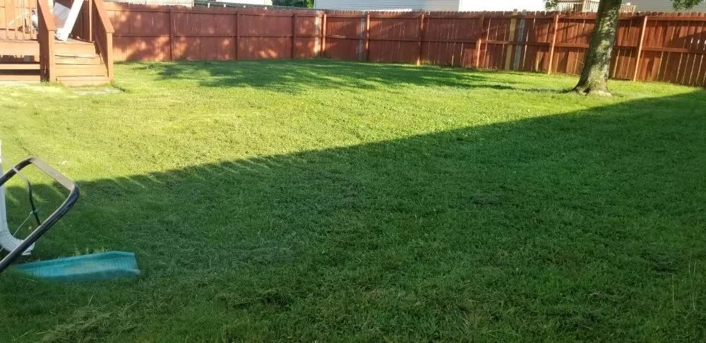 Trusted yard cleanup service for beautiful yards in Columbia, TN by Top Lawn Care