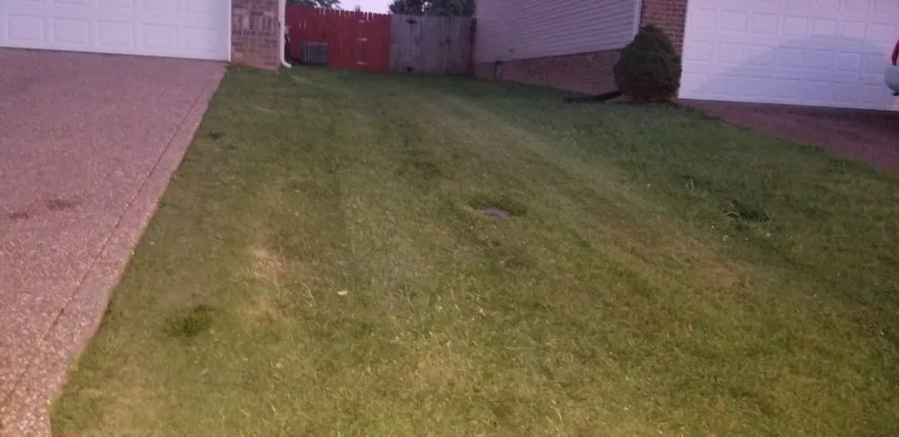 Local residential landscaping experts serving Columbia, TN - Top Lawn Care