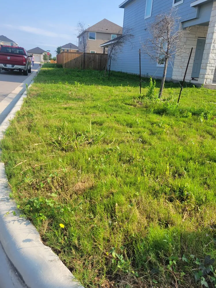 Top-rated outdoor landscaping with custom design in Jarrell, TX by Top Lawn Care