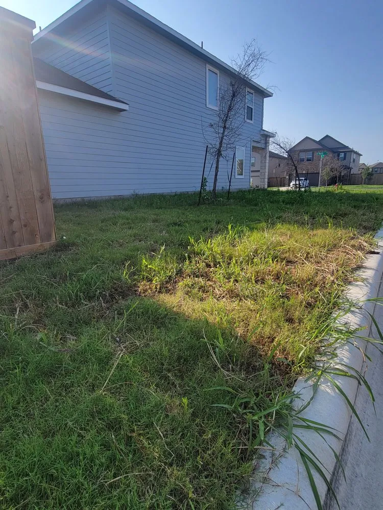 Top-rated landscaping services in Jarrell, TX by Top Lawn Care