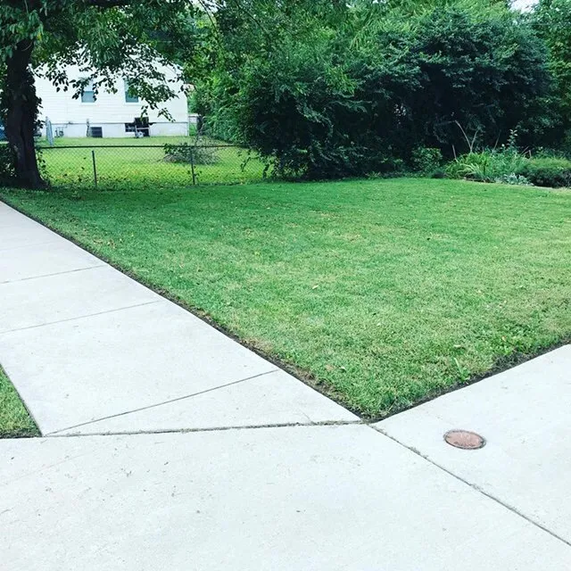 Top-rated yard maintenance in Blue Ash, OH by Top Lawn Companies