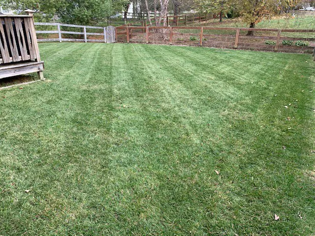 Affordable yard cleanup service for beautiful yards across Blue Ash, OH - Top Lawn Companies