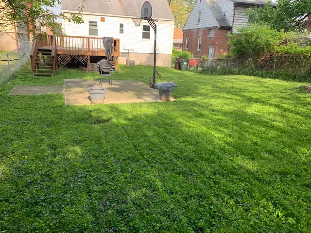 Professional yard maintenance for outdoor upgrades across Blue Ash, OH - Top Lawn Companies