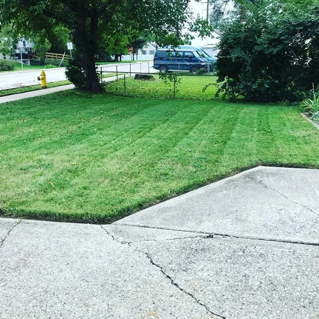 Professional landscaping services experts serving Blue Ash, OH - Top Lawn Companies